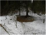 Spodnja Besnica (fish farm) - Špičasti hrib